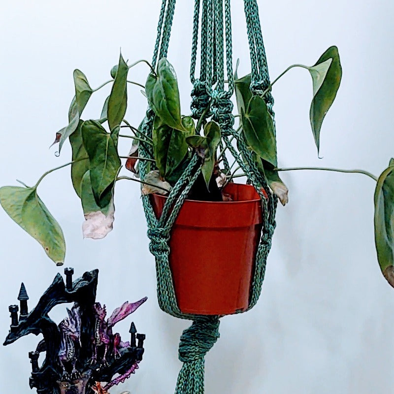 GIANT Plant Hanger Macrame, Plant Holder Large Macrame, Large