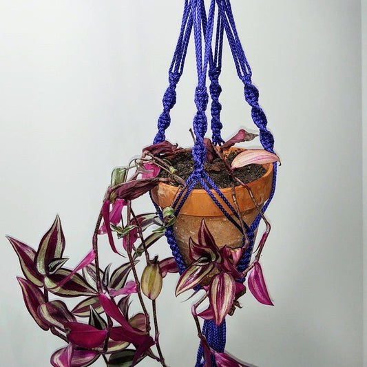 Macrame Plant Hanger, holds up to 6 inch pot, 9 colors available, Camellia