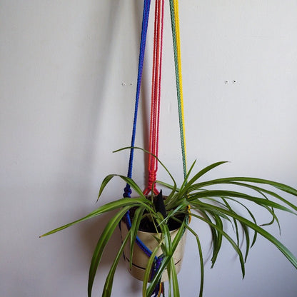 macrame plant hanger rainbow
