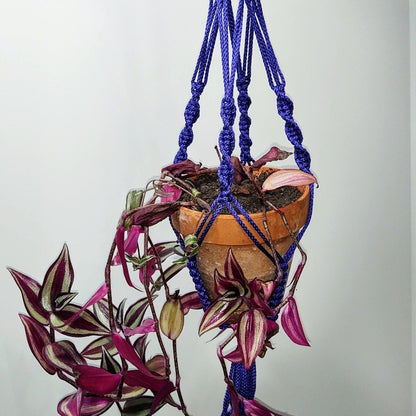 Macrame Plant Hanger, holds up to 6 inch pot, 9 colors available, Camellia